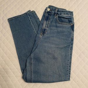 American Eagle Curvy Mom Jeans